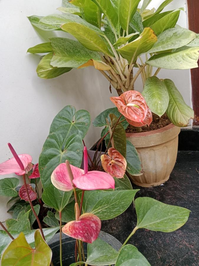 Ella Glory Inn 外观 照片